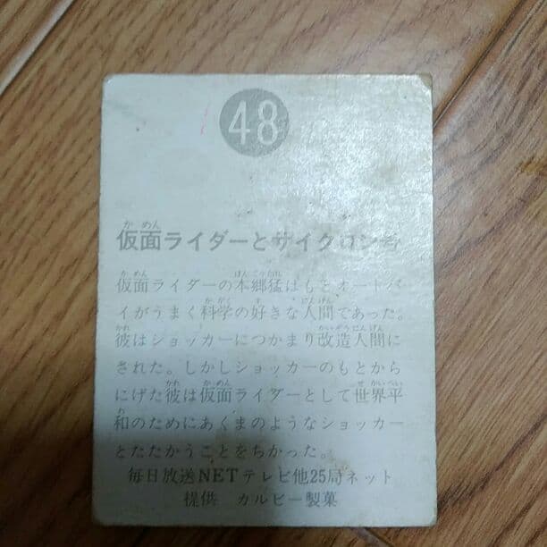 ライダーカード48番(異種)