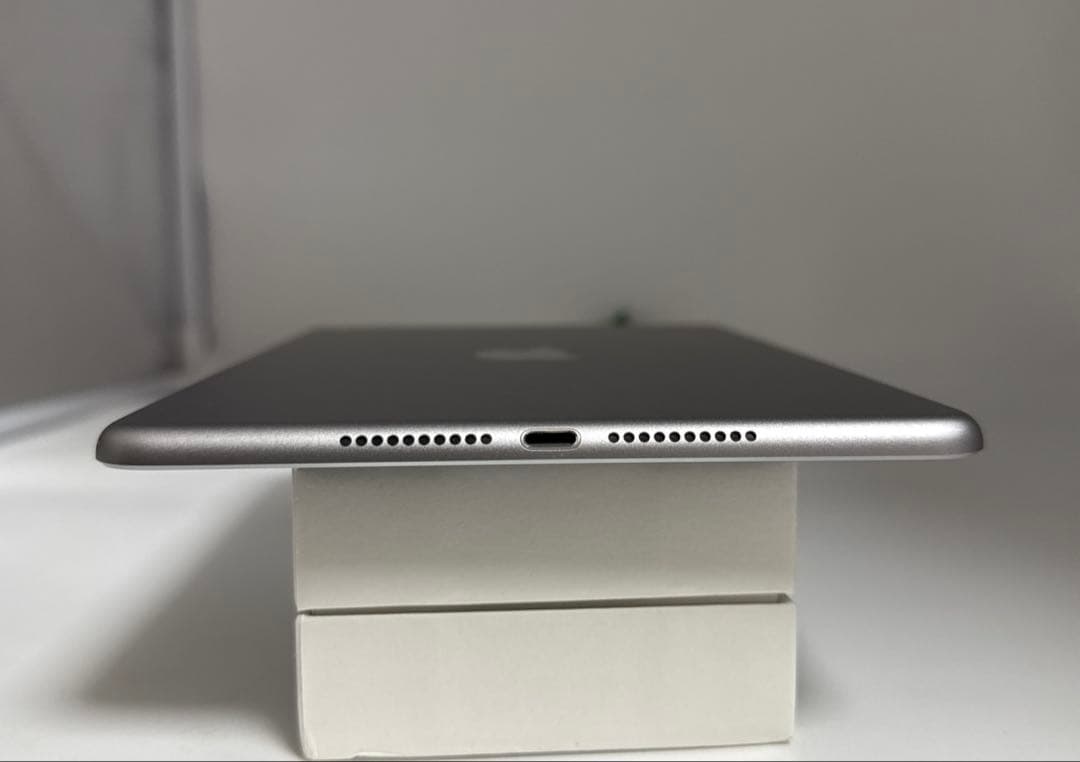 iPad Mini 第4世代　128GB バッテリー99%