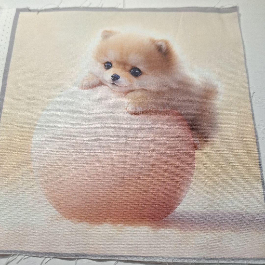 可愛いポメラニアンパネル生地　ハンドメイド