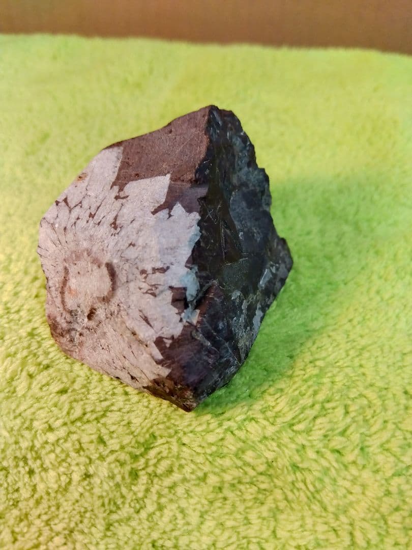 ハート花の化石　(超貴重)