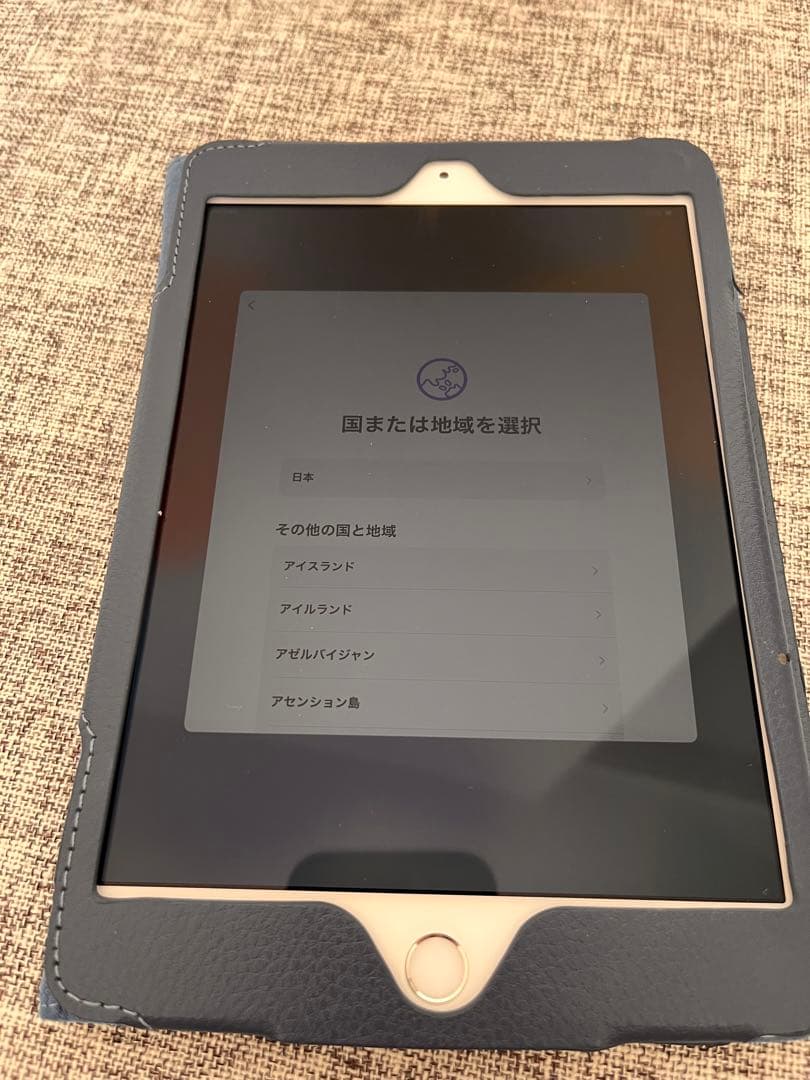 iPad mini 4 16GB SIMフリーCellular本体のみ初期化済み