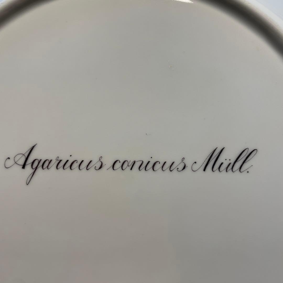 ロイヤルコペンハーゲン　フローラダニカ　大皿25.5cm 新品未使用キノコ柄貴重