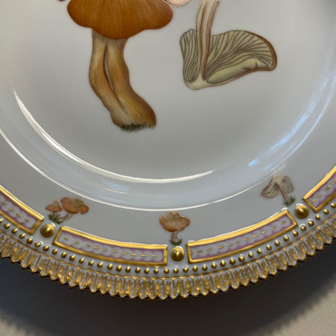 ロイヤルコペンハーゲン　フローラダニカ　大皿25.5cm 新品未使用キノコ柄貴重