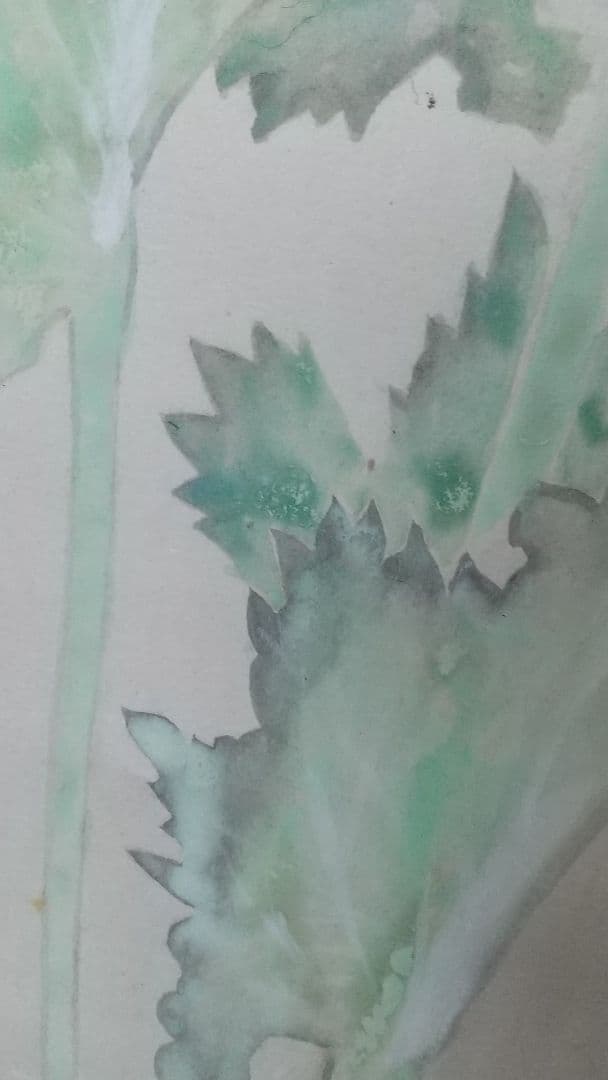 剥落箇所あり 折れあり 田中青坪 芥子 紙本掛軸 東京芸大教授 院展