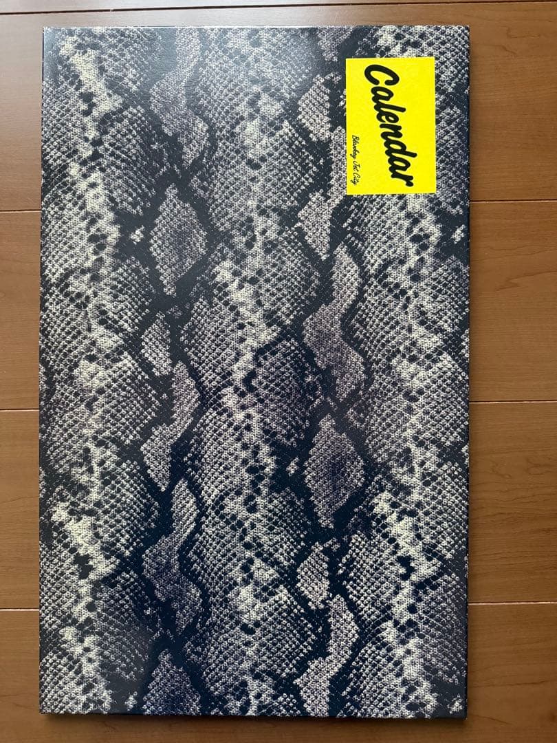 ブランキージェットシティ 1997年 公式カレンダー 6枚組 ケース付