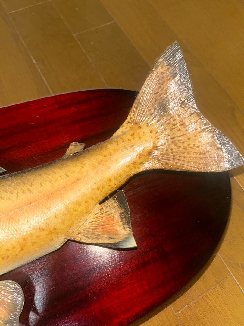 リアルなトラウトフィギュア