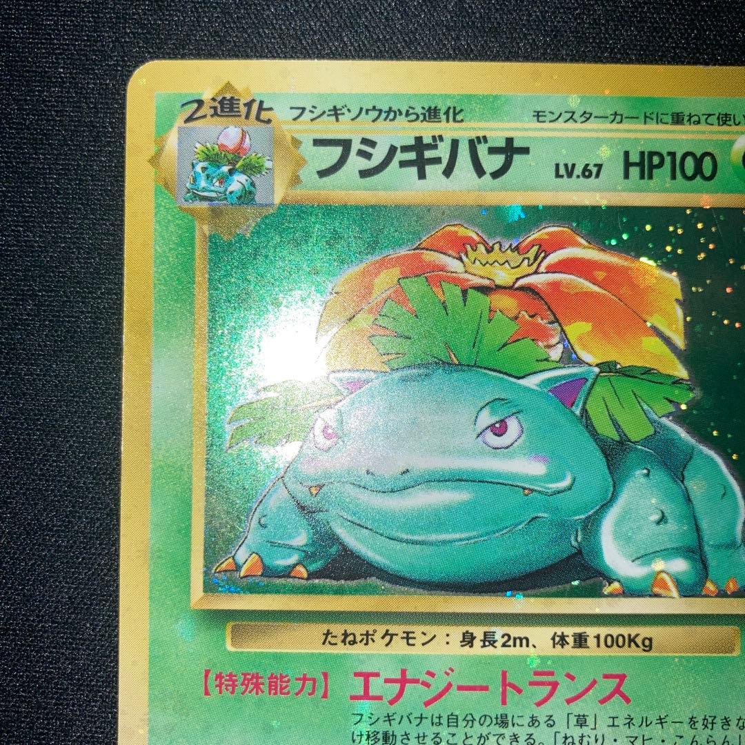 美品　全面ホロ　フシギバナ　旧裏　キラ　ホロ