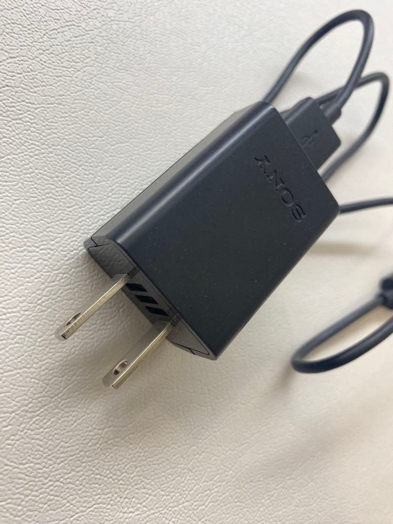 SONY α ZV-E10 L 本体と付属品