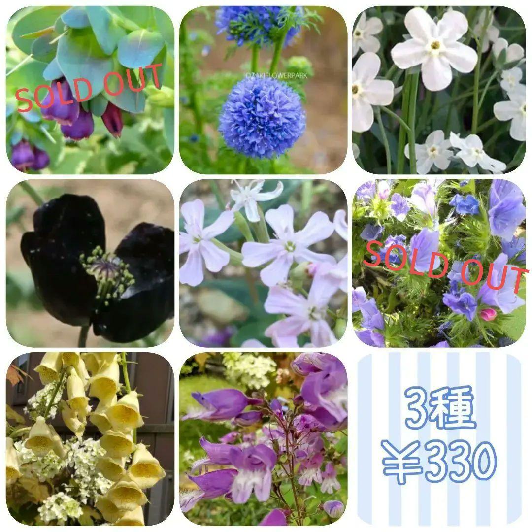 花種 　選べる お好み 3種セット