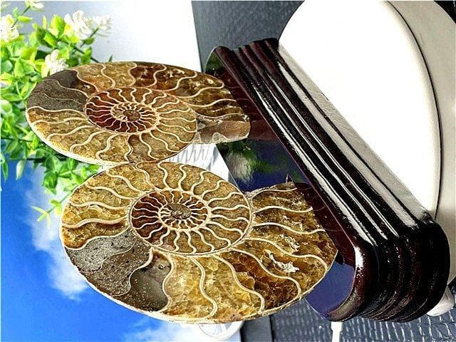 ★貴重－アンモナイト縫合線オパール化石標本B88U3/145U89D